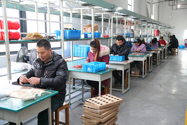 Ningbo Yuexiang Electric Appliance Co., Ltd. производственная линия производителя